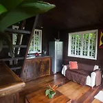 Rain Forest Paradise