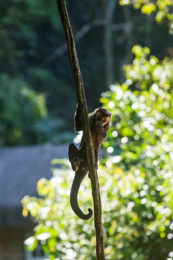 Rumah liburan Rain Forest Paradise Rio de Janeiro